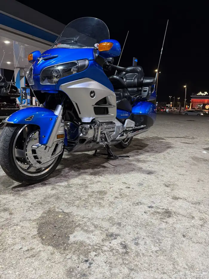 قولد وينق 2012 3