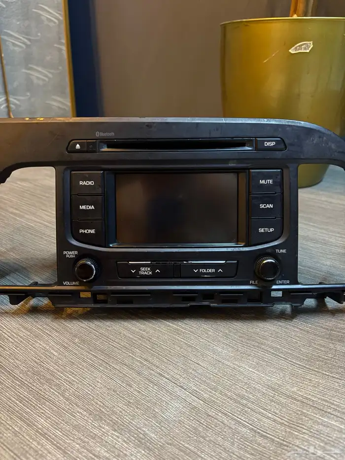 مسجل سوناتا مع الديكور 6