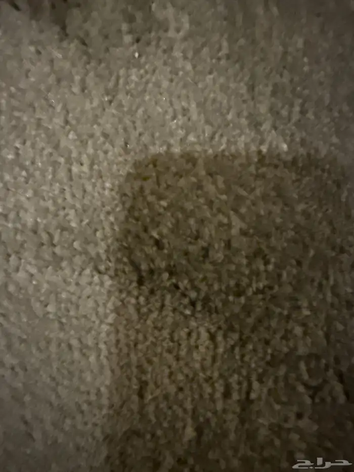 فرشه للبيع شبه جديده 2