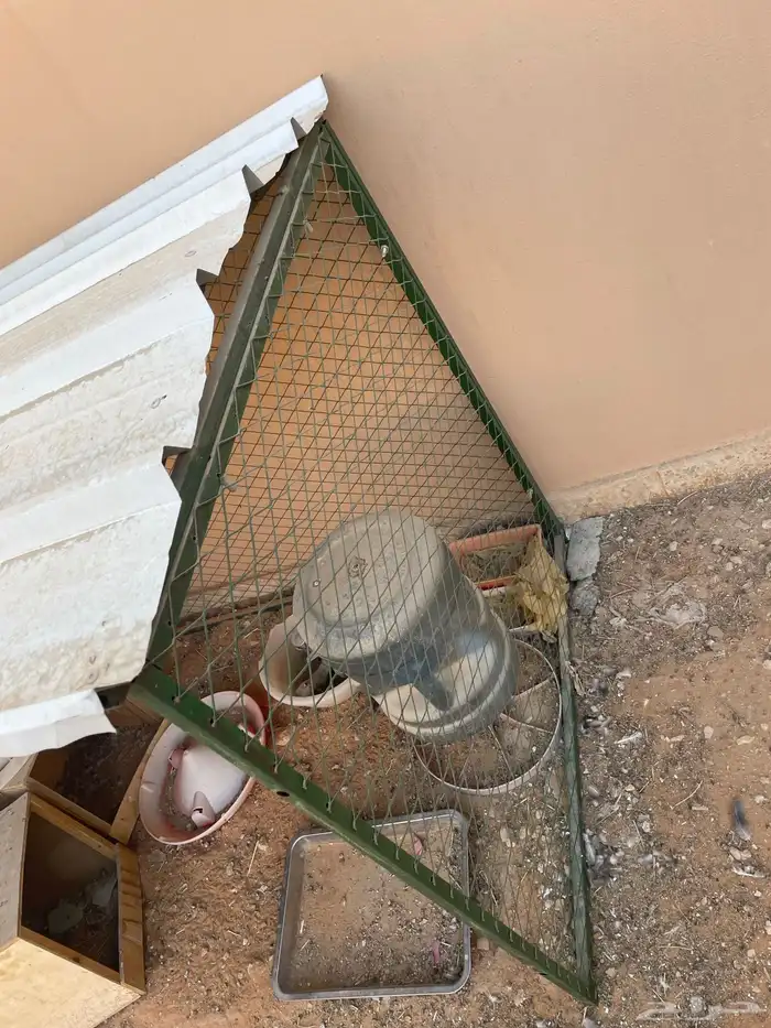 شبك حمام أو دجاج 2