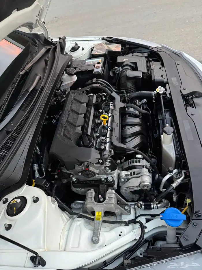 الانترا 2021 بنزين 29