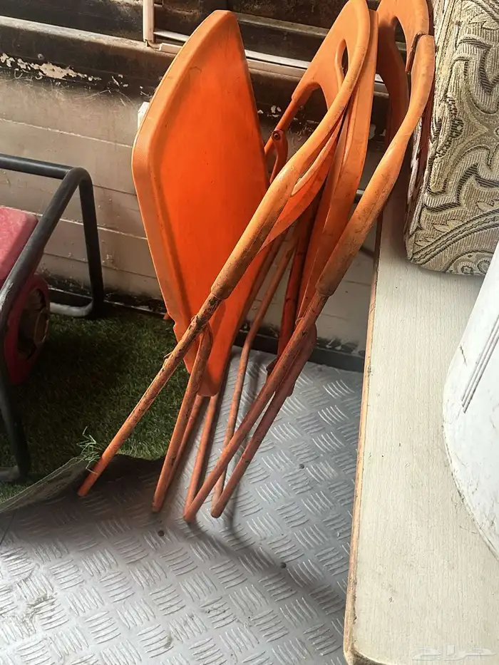 فود ترك شاهي 7