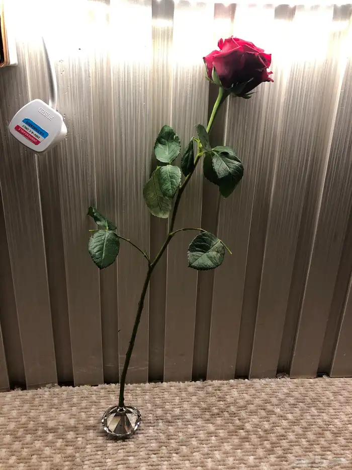 الماس اي زينه الورد السعر 50 وفي تخفض اذا تبي 0