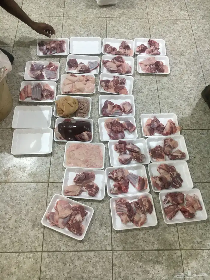 ذبايح الرس 1