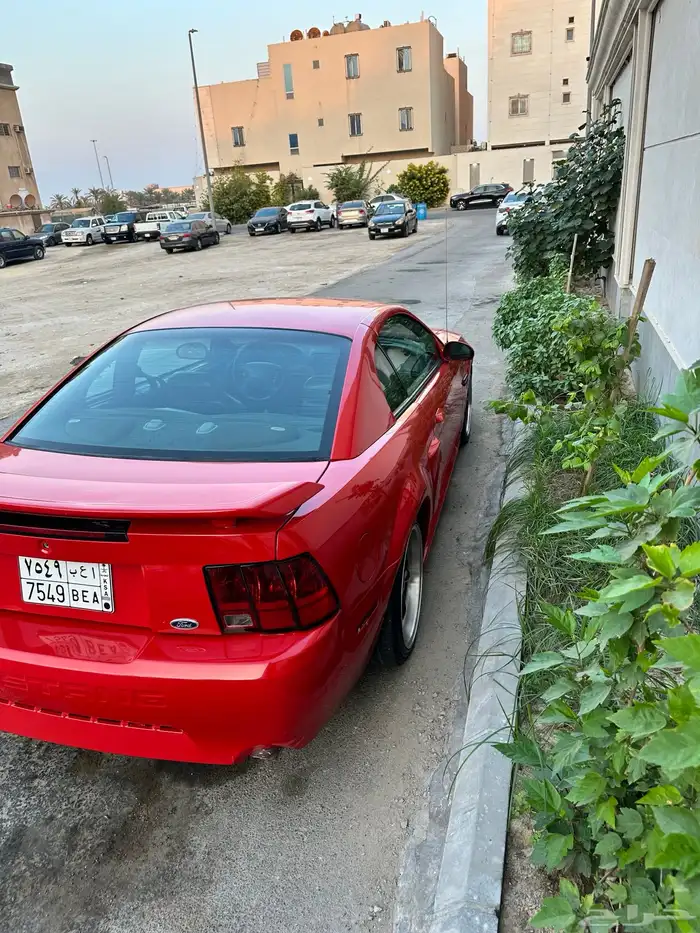 موستنج gt 2002 4