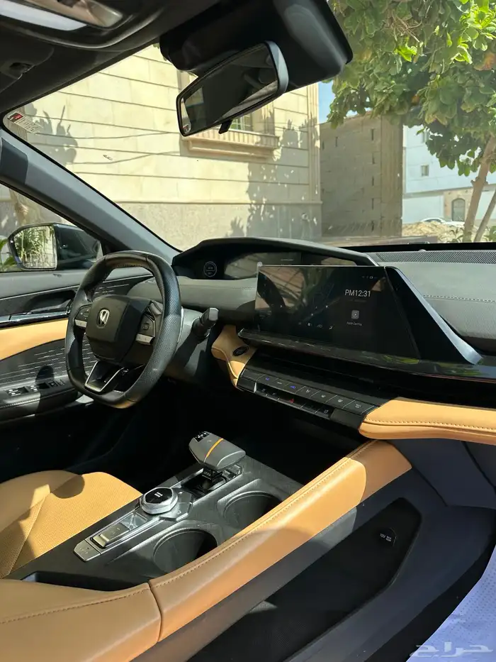 شانجان يوني في 2024 8