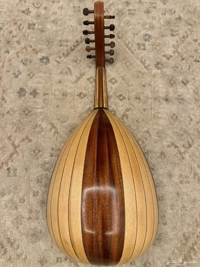 عود موسيقى عبد العال 1