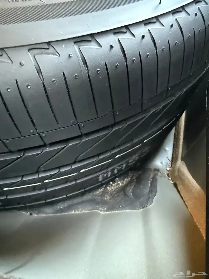 مكسيما 2023 19