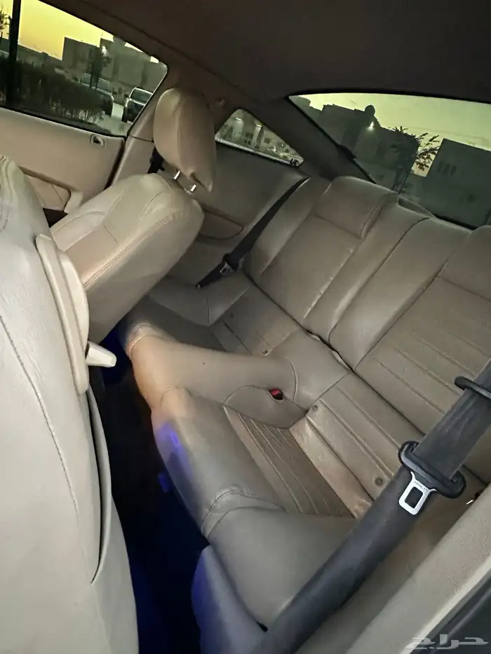 موستنق 2010 16