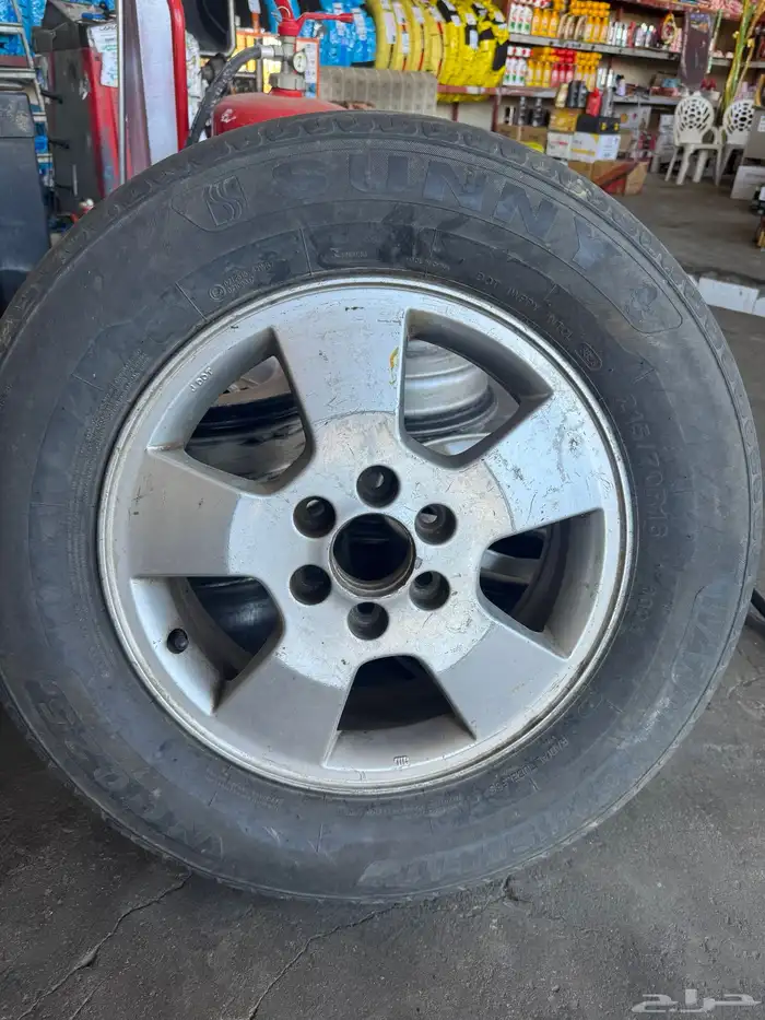 جنوط صالون و شاص ونفارا 2