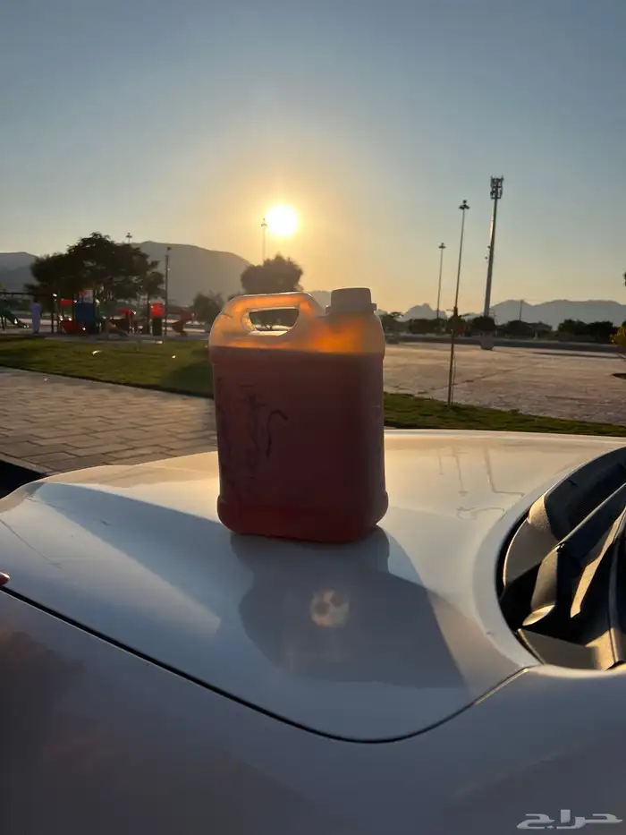 عسل سدر درجه أولى عصيمي شرط. 0