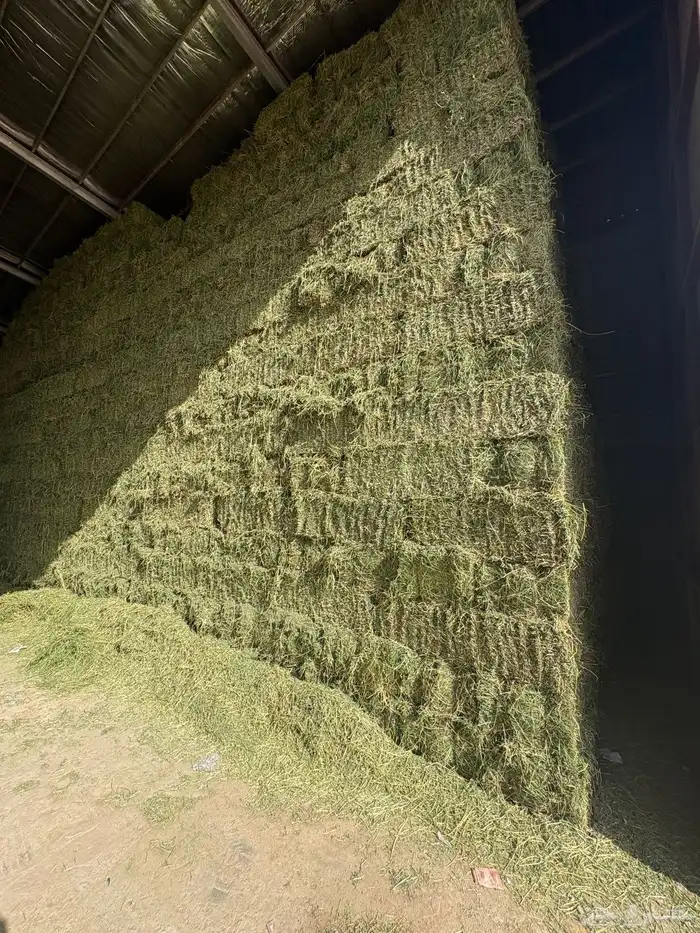 برسيم صافي مخزن مع التوصيل 5