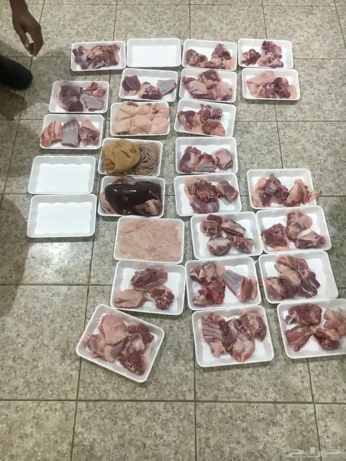 ذبايح الرس 0