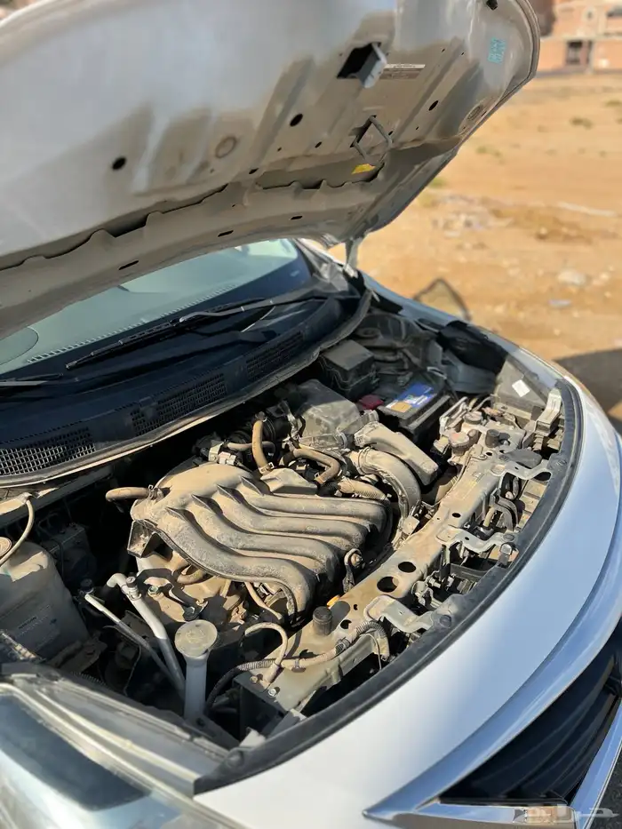 صني 2020 وكاله ممشى قليل 4