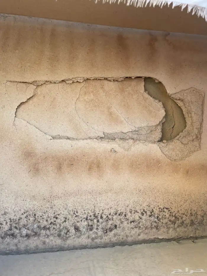 كرسي نوم لوجه الله 2