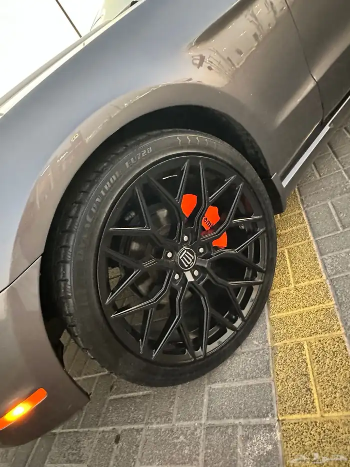 موستنق 2010 12