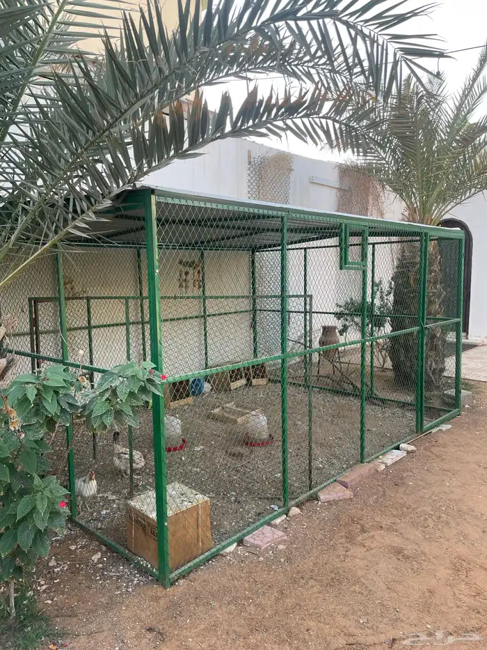 شبك دجاج بط حمام ارانب 3