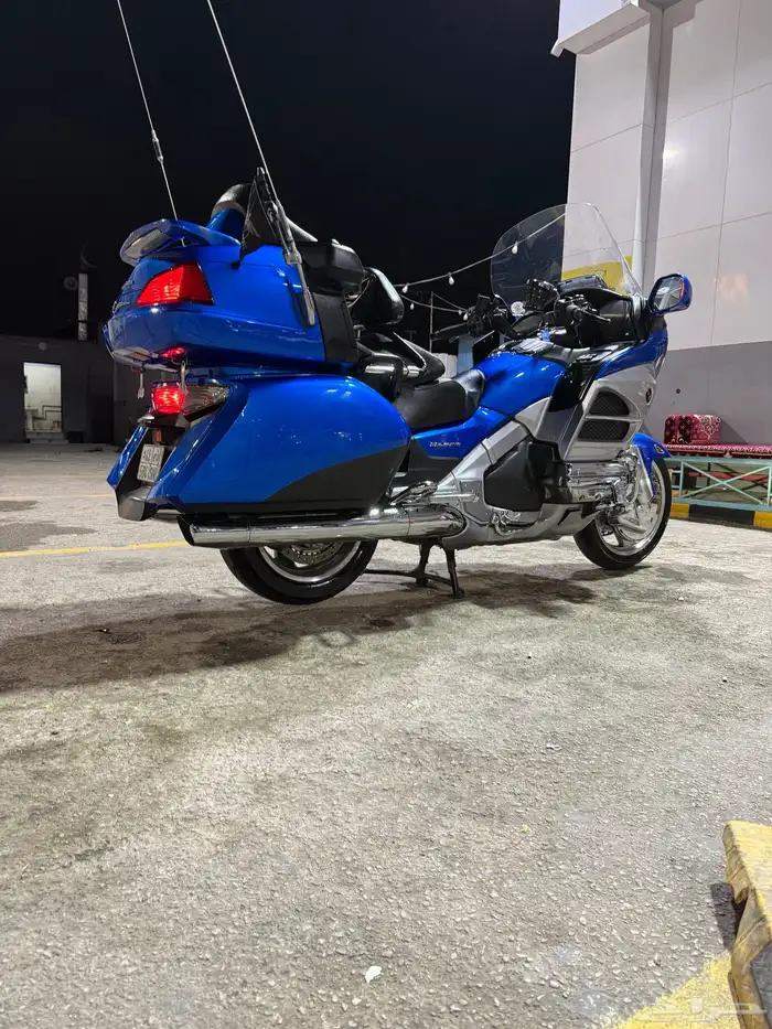 قولد وينق 2012 5