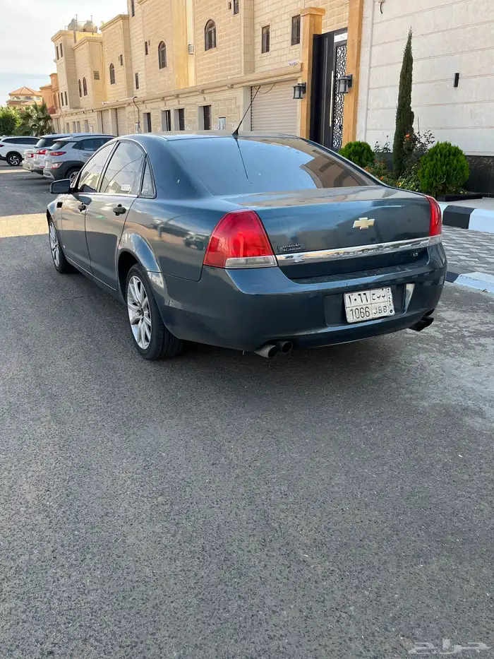 كابرس مرهم داخلية 2013 0