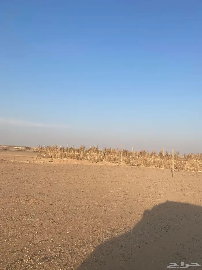 يوجد محل قريب من كبري الجويه فيه عريش داخله شبك غنم 2