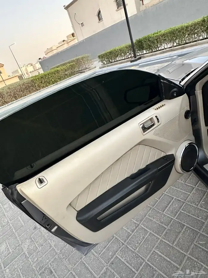 موستنق 2010 14