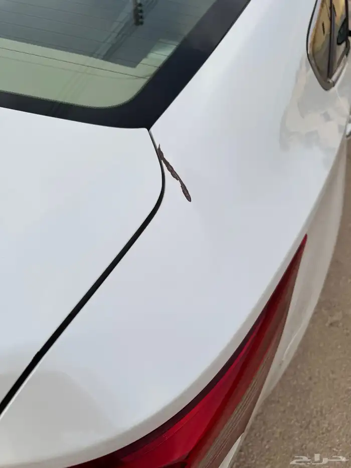 أفالون 2016 فل كامل ليمتد سعودي المالك الأول 14