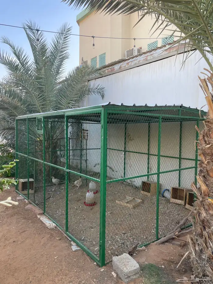 شبك دجاج بط حمام ارانب 2