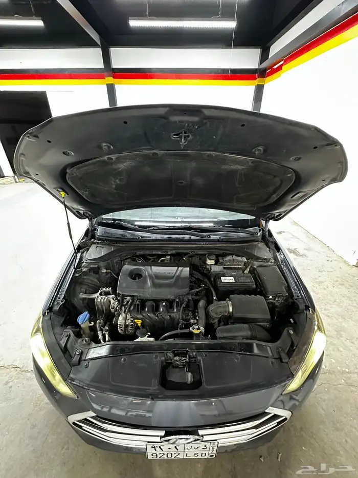 الانترا 2018 10