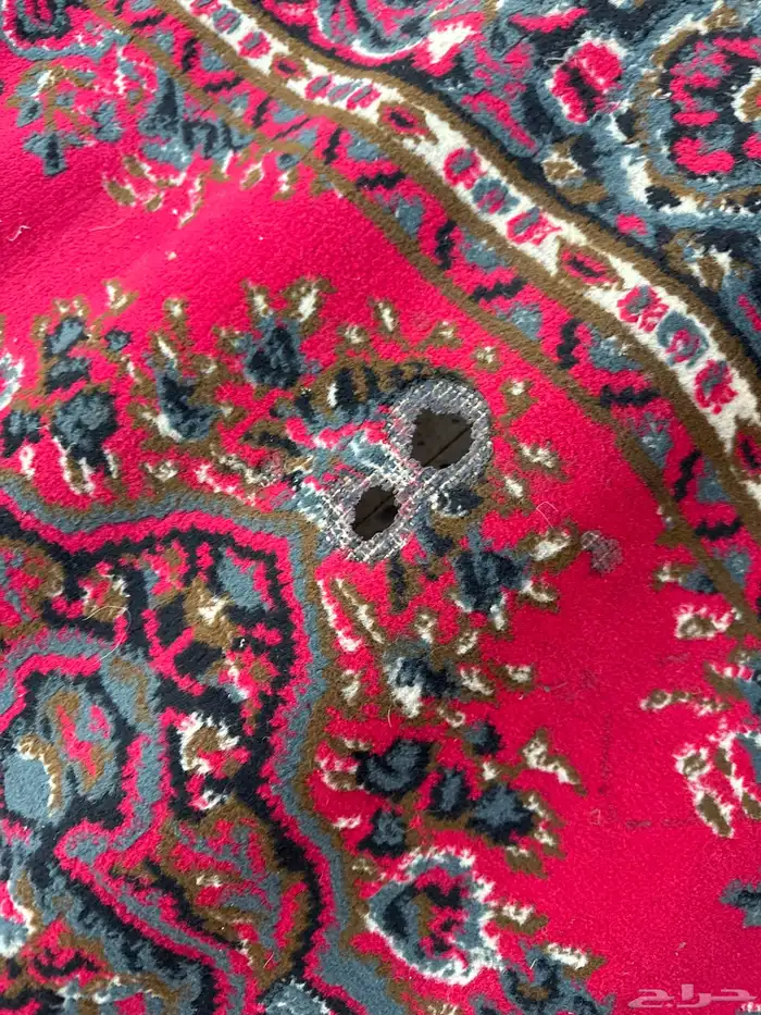 6 زولي نظيفه 10