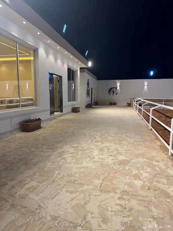 اسطبل للايجار اليومي   تدريب   ايواء ( ) 3