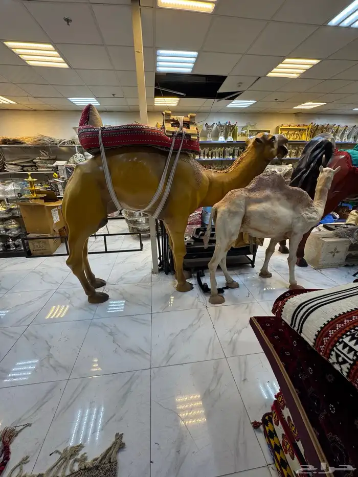 جلسات خارجيه. تفصيل وجاهز حسب طلب العميل 9