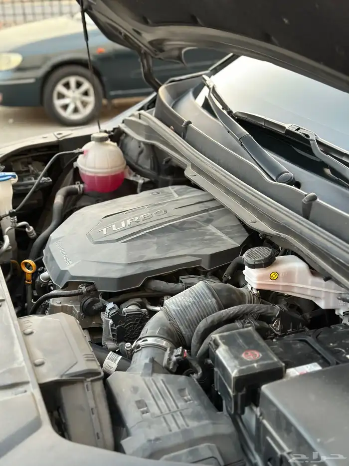 كرنفال ديزل 2021 3