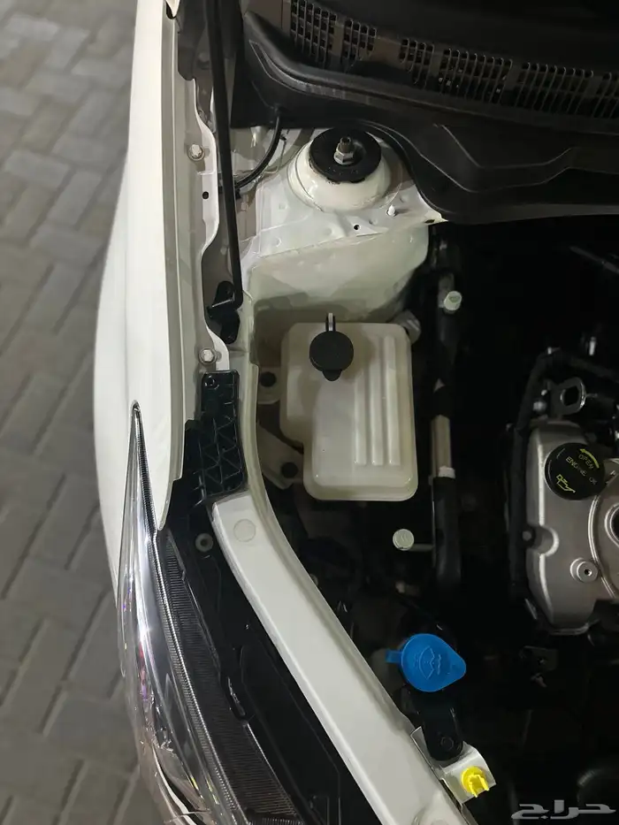 شانجان 2025 بلد 19