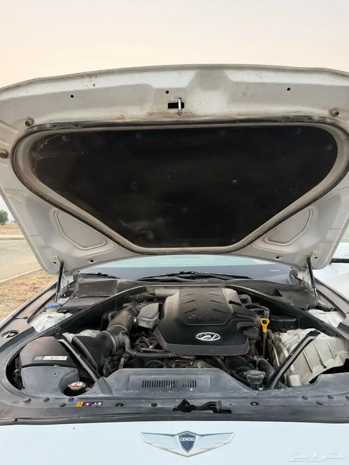 جنسس بلاتينيوم 2016 7