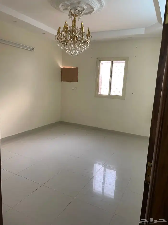 مطلوب شقة للإيجار 6