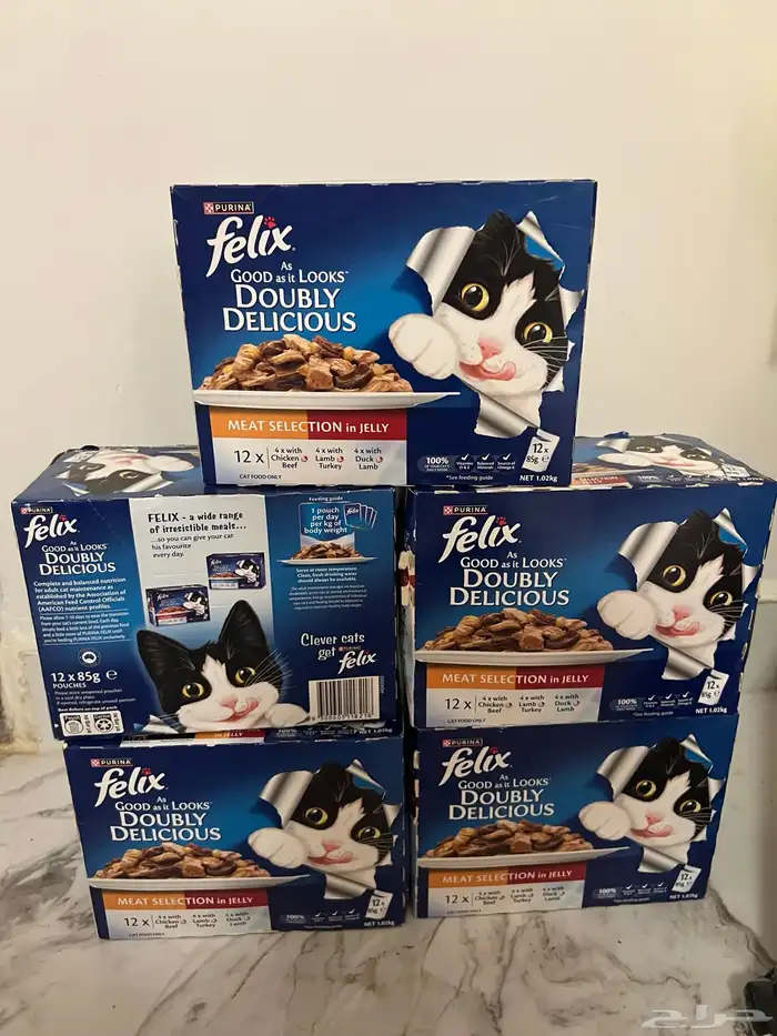 اكل قطط رطب 0