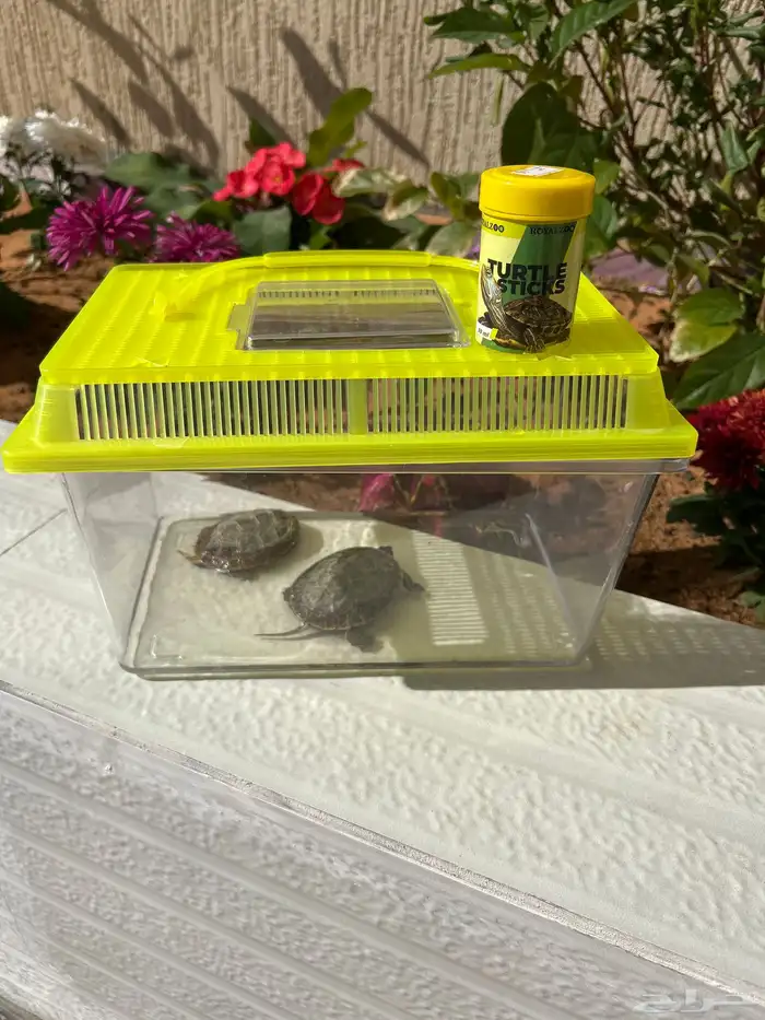 سلحاه للبيع 3