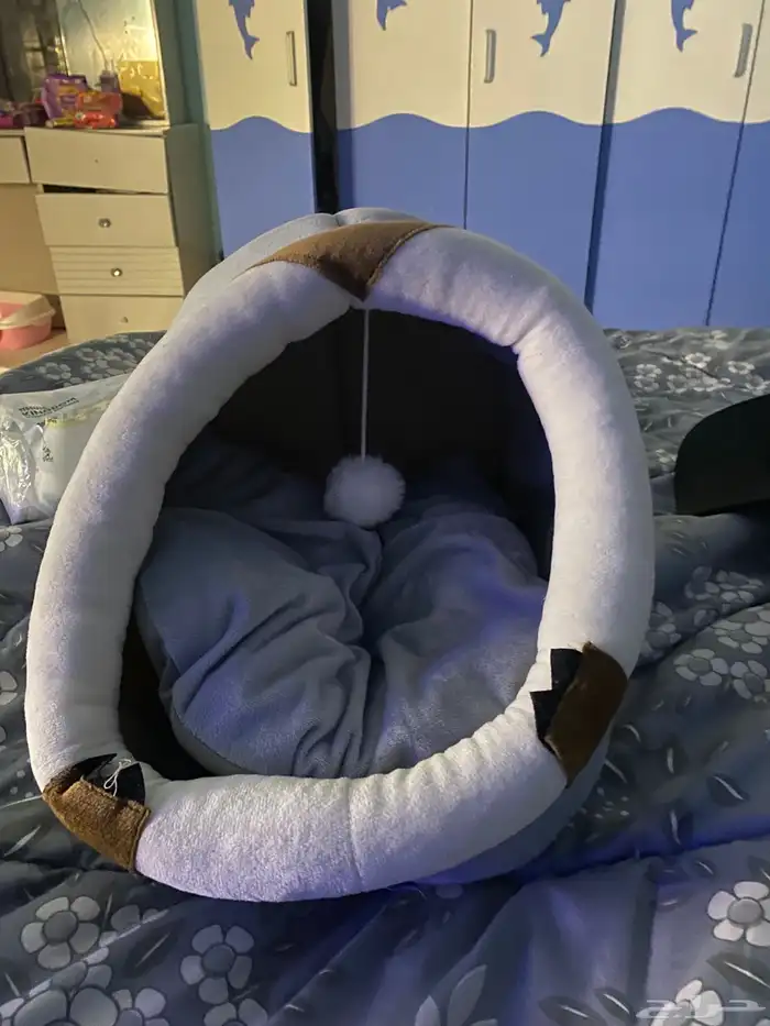 قطه شيرازي 9