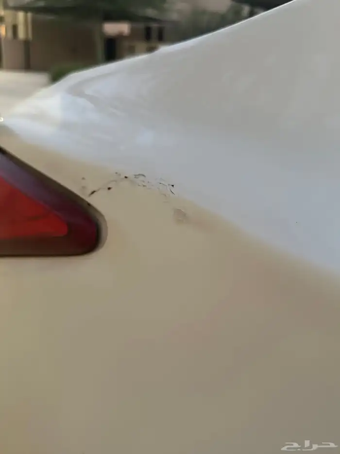 التيما نيسان 2017 ستاندر 7