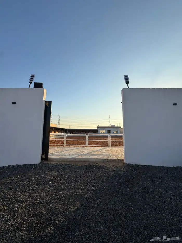 اسطبل للايجار اليومي   تدريب   ايواء ( ) 7