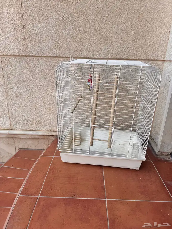 قفص عصفور كبير انت اختر السعر بس لا تبخص 0