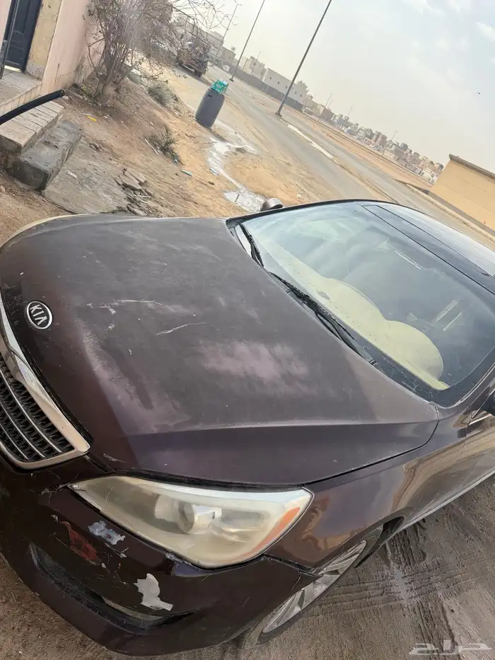 كادينزا 2012 فلل 2