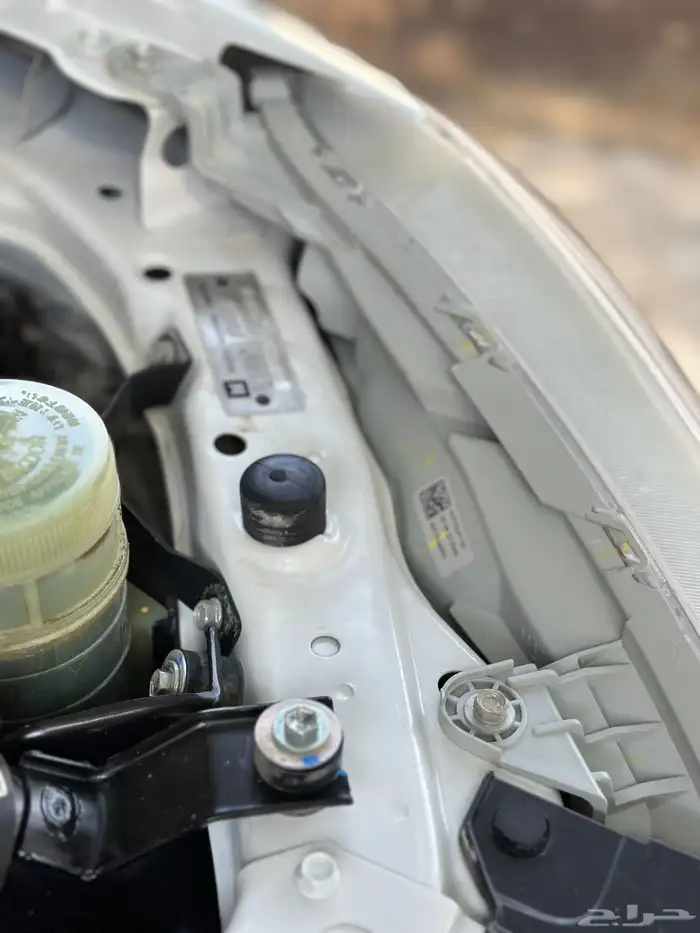 ايسيزو ديماكس 2022 36