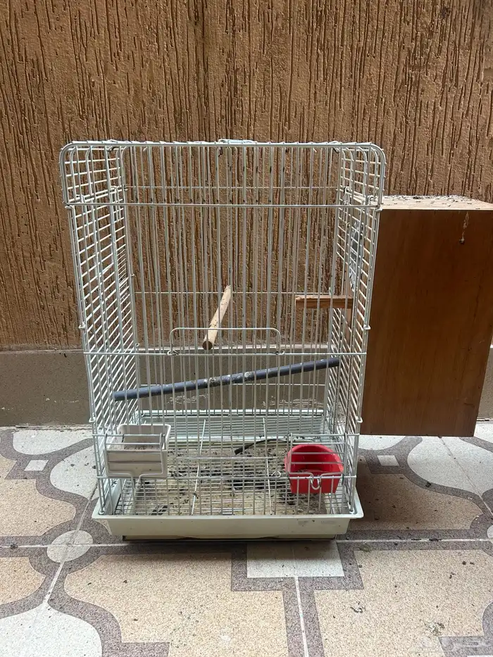 قفص ببغاء 1