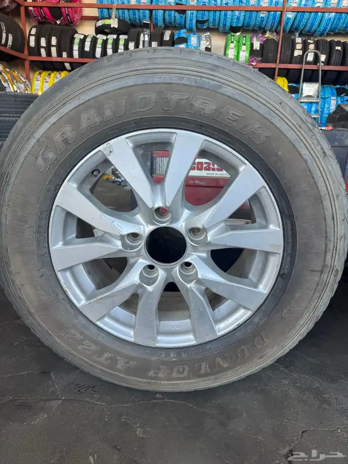 جنوط صالون و شاص ونفارا 0