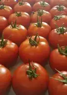 فرصة استثمار واعدة للجادين 3