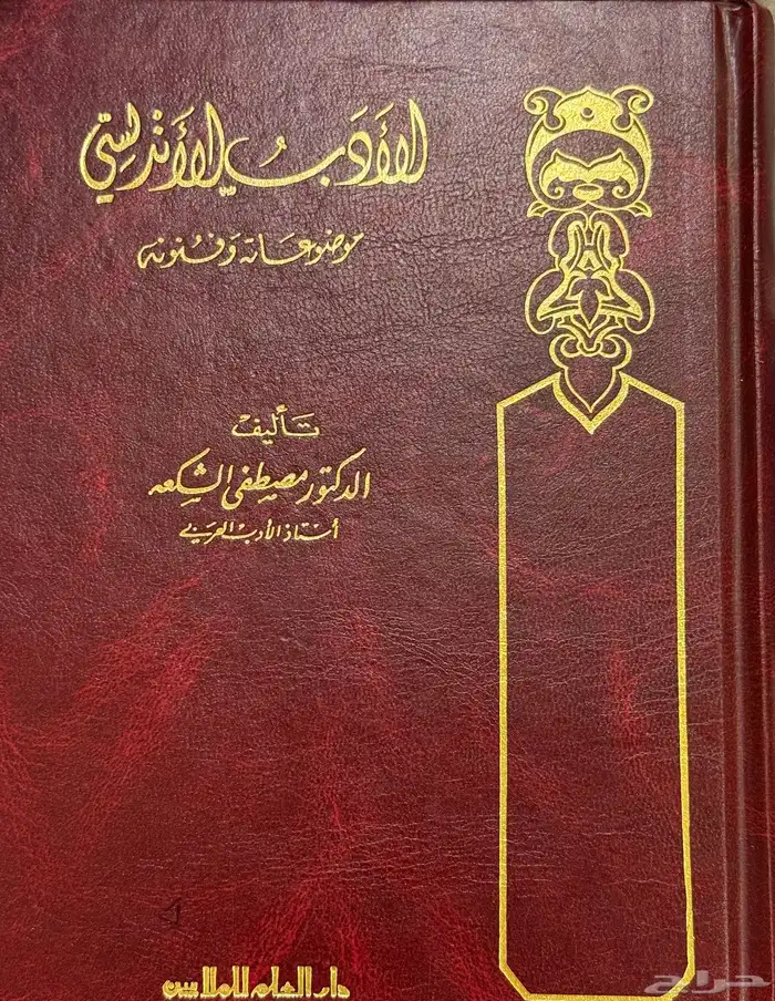 مجموعة كتب ادب بلاغة نحو وغيرها 17