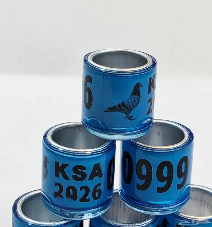 حجول حمام 2026 0