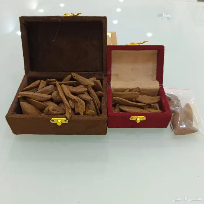 عود مروكي محسن فاخر 3