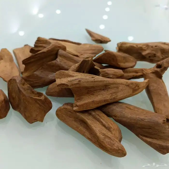 عود مروكي طبيعي 1